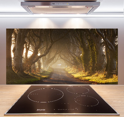 Kitchen splashback Fog in the forest