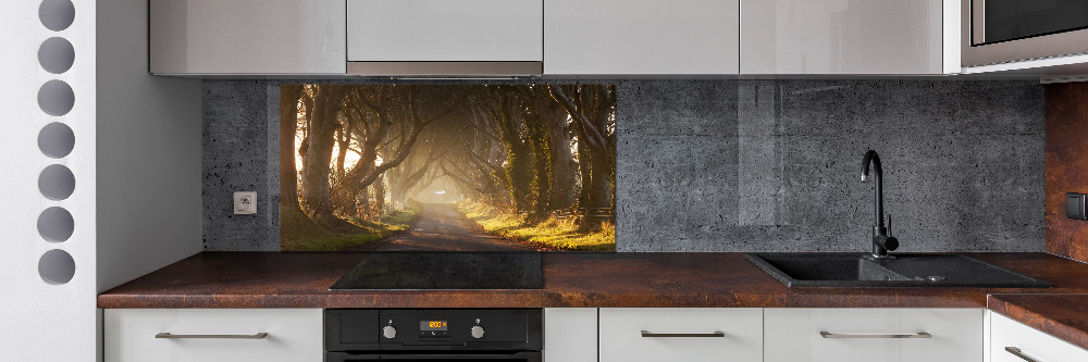 Kitchen splashback Fog in the forest