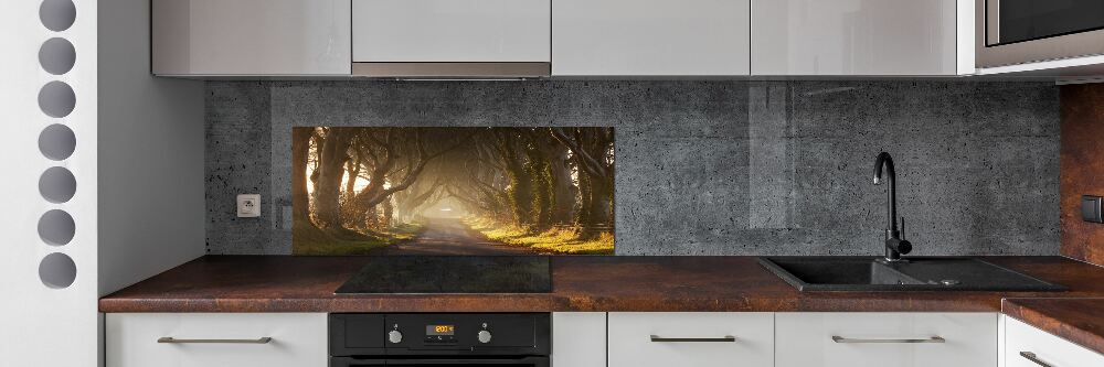 Kitchen splashback Fog in the forest