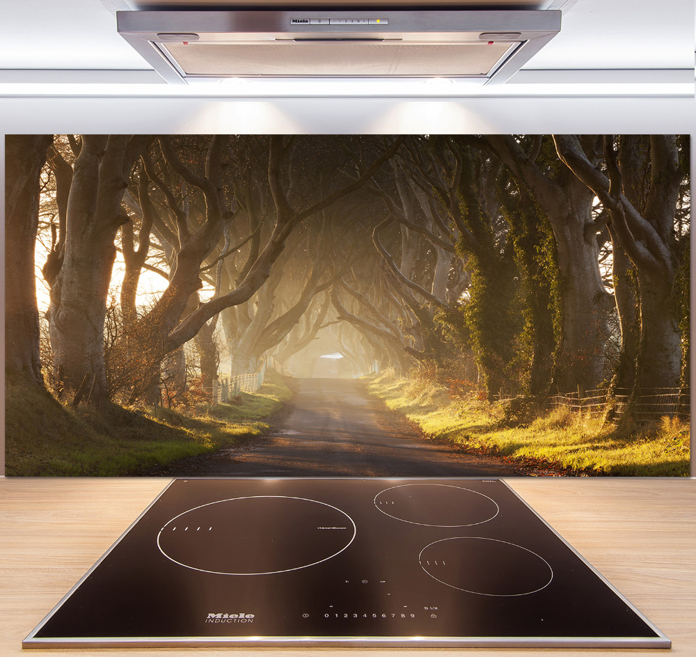 Kitchen splashback Fog in the forest