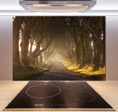 Kitchen splashback Fog in the forest