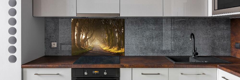 Kitchen splashback Fog in the forest