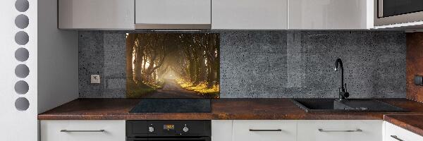 Kitchen splashback Fog in the forest