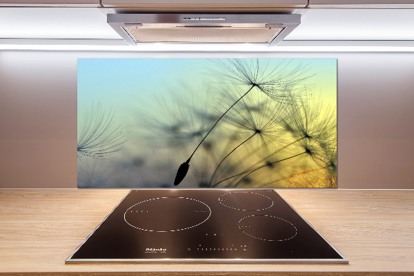 Hob splashback Dandelion seeds