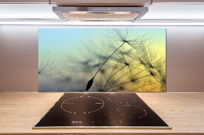 Hob splashback Dandelion seeds