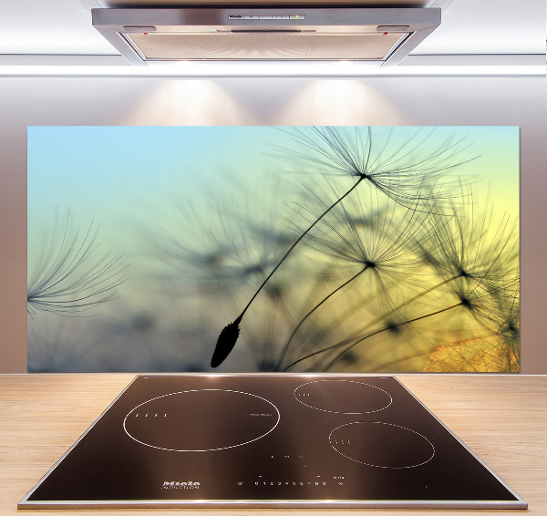 Hob splashback Dandelion seeds