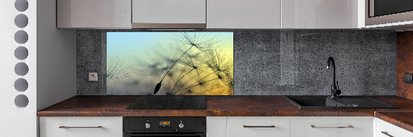 Hob splashback Dandelion seeds