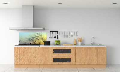 Hob splashback Dandelion seeds