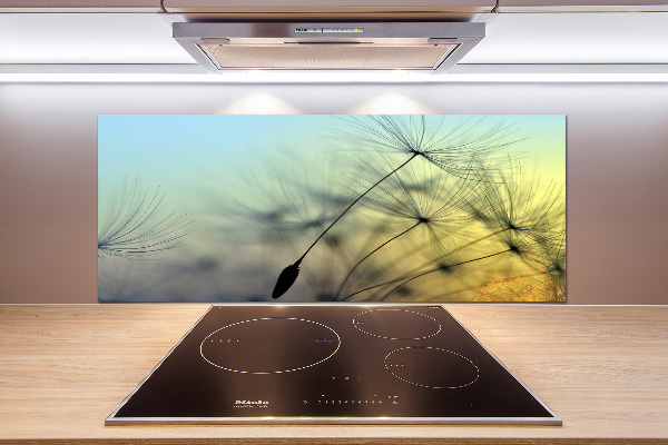 Hob splashback Dandelion seeds