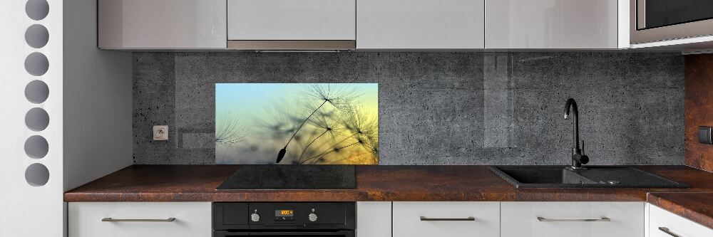 Hob splashback Dandelion seeds