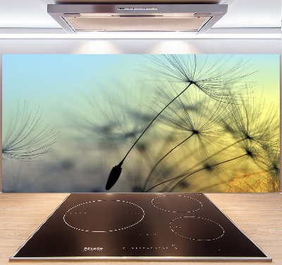 Hob splashback Dandelion seeds