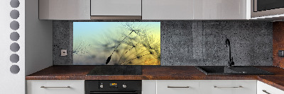 Hob splashback Dandelion seeds