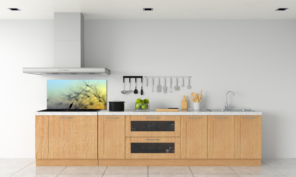 Hob splashback Dandelion seeds