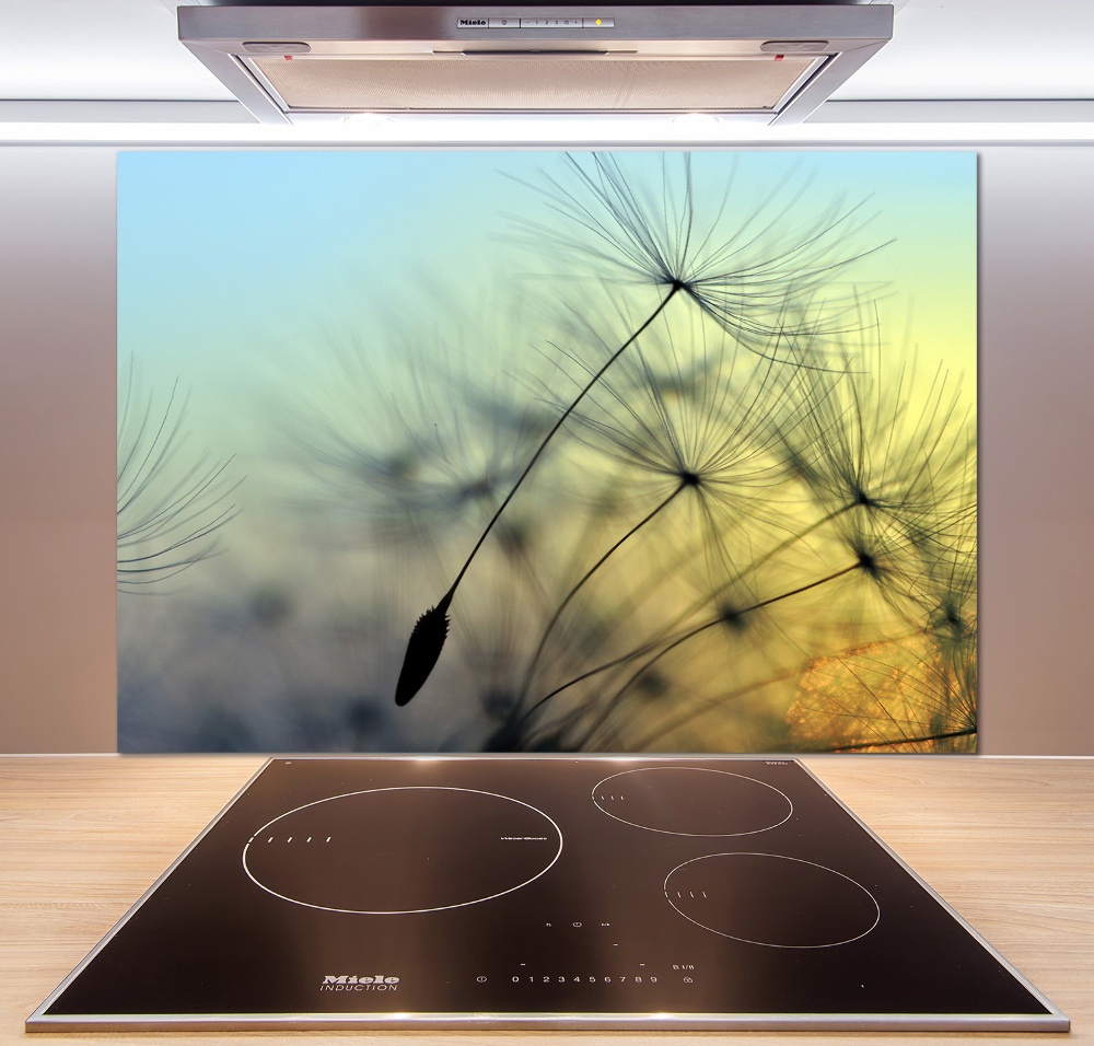 Hob splashback Dandelion seeds