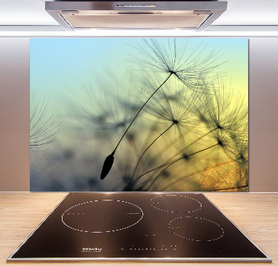 Hob splashback Dandelion seeds