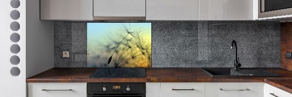 Hob splashback Dandelion seeds