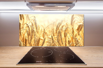 Cooker splashback Cereal