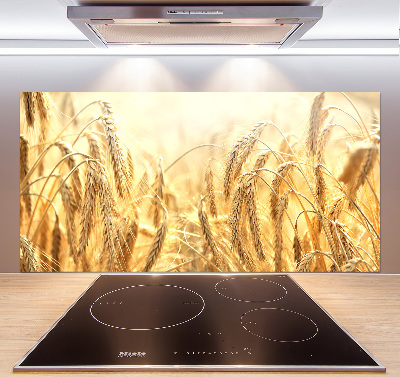 Cooker splashback Cereal