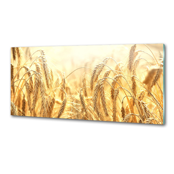 Cooker splashback Cereal