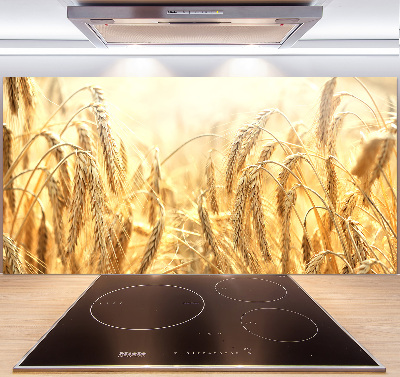 Cooker splashback Cereal