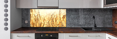 Cooker splashback Cereal