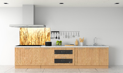 Cooker splashback Cereal