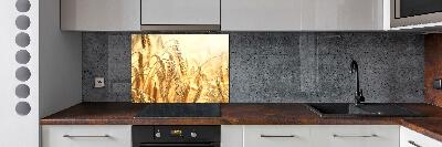 Cooker splashback Cereal