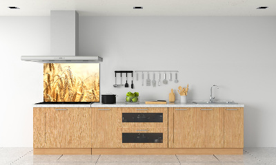 Cooker splashback Cereal