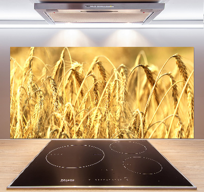 Cooker splashback Cereal