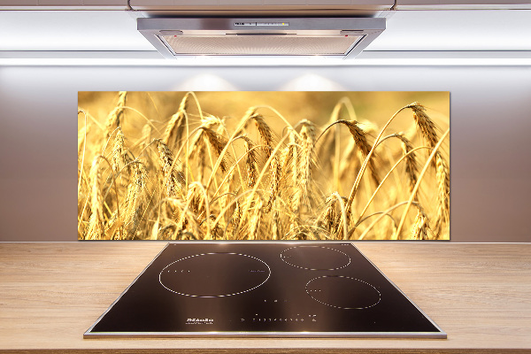 Cooker splashback Cereal