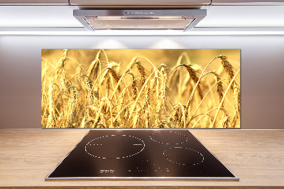 Cooker splashback Cereal