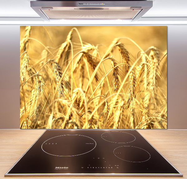 Cooker splashback Cereal