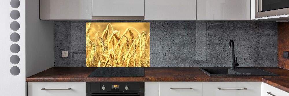 Cooker splashback Cereal