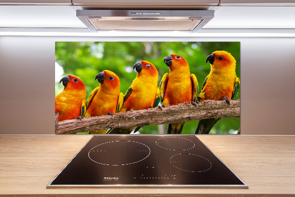 Kitchen splashback Parrots on a branch