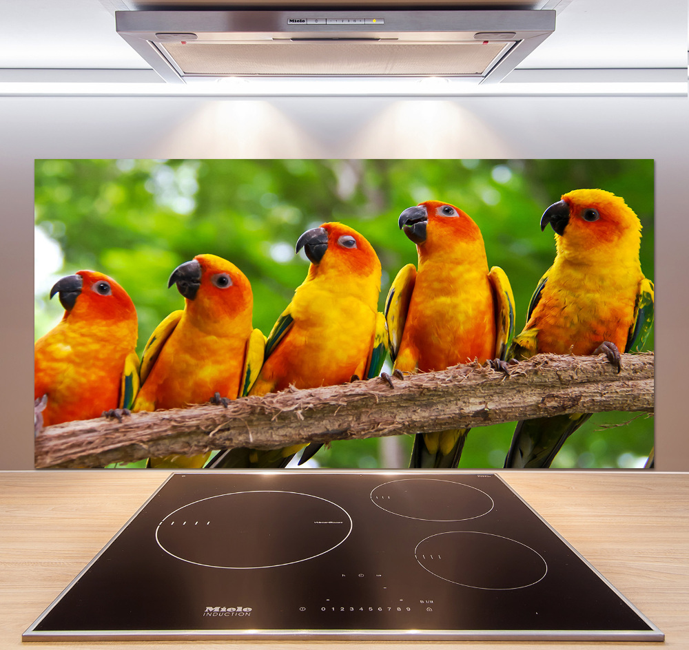 Kitchen splashback Parrots on a branch