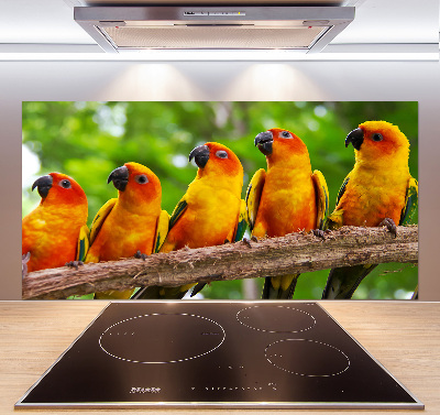 Kitchen splashback Parrots on a branch