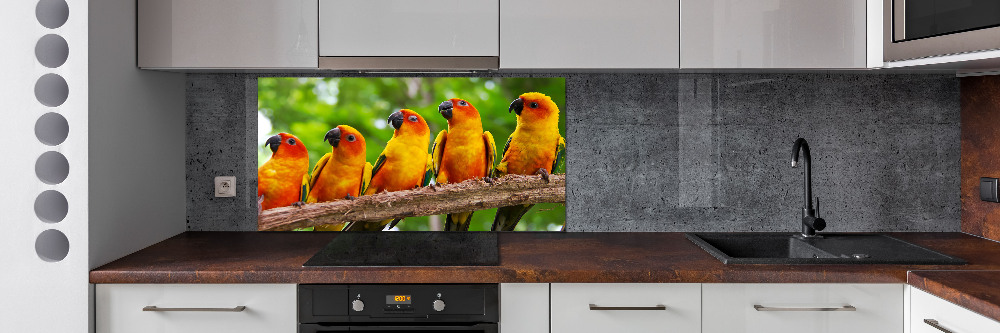 Kitchen splashback Parrots on a branch