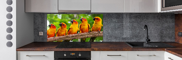 Kitchen splashback Parrots on a branch