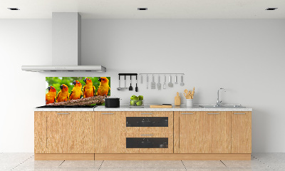 Kitchen splashback Parrots on a branch