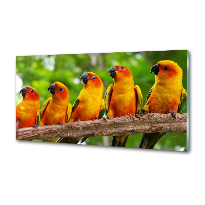 Kitchen splashback Parrots on a branch