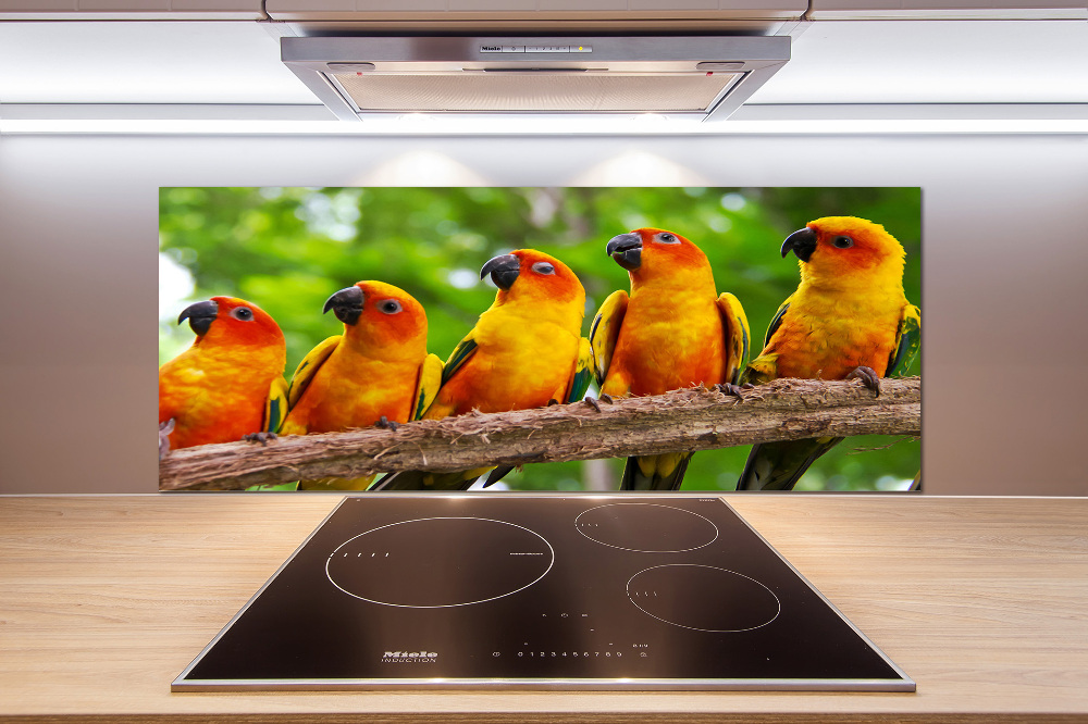 Kitchen splashback Parrots on a branch