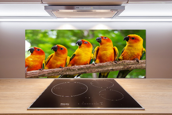 Kitchen splashback Parrots on a branch