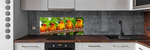 Kitchen splashback Parrots on a branch