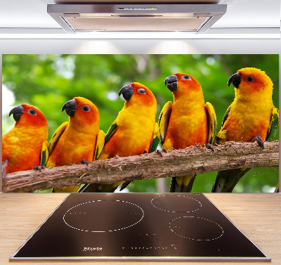 Kitchen splashback Parrots on a branch