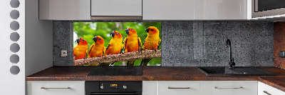 Kitchen splashback Parrots on a branch