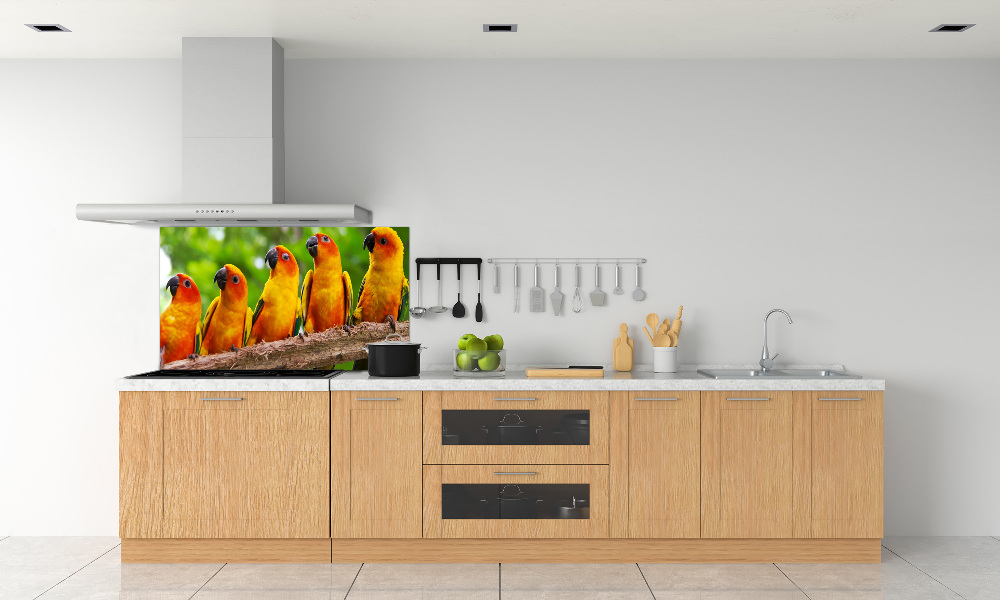 Kitchen splashback Parrots on a branch