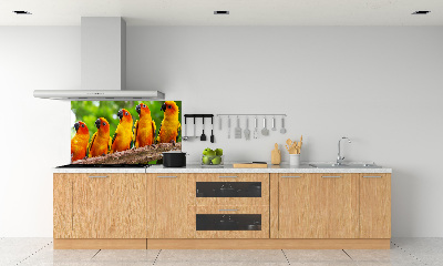 Kitchen splashback Parrots on a branch