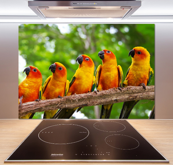 Kitchen splashback Parrots on a branch