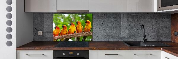 Kitchen splashback Parrots on a branch