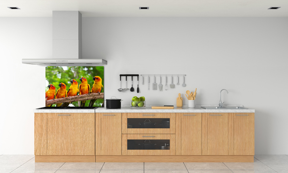 Kitchen splashback Parrots on a branch